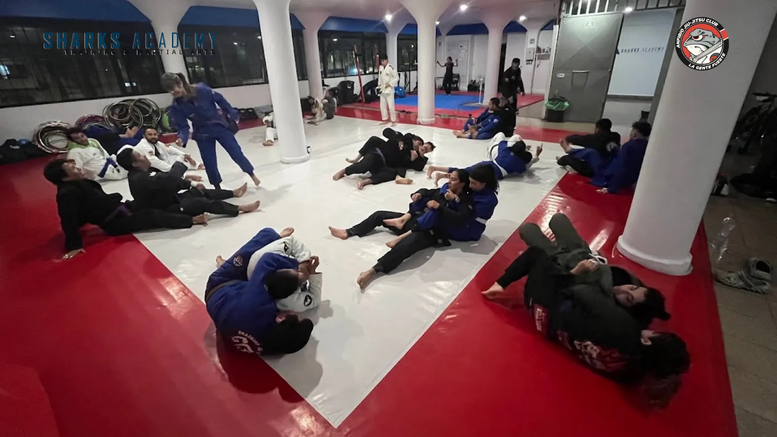Jiu-Jitsu