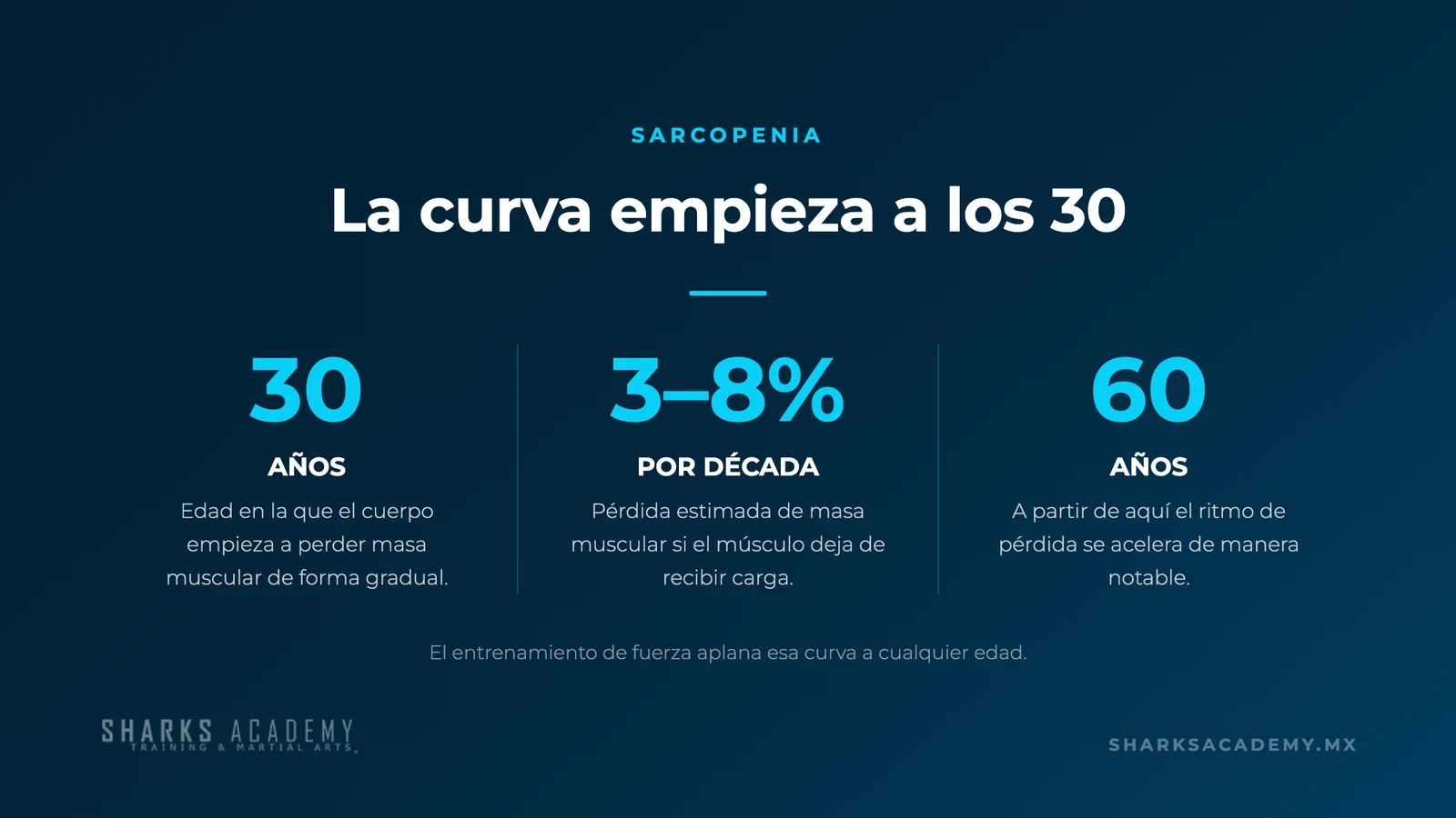 Infografía: la pérdida de masa muscular empieza a los 30 años, entre 3% y 8% por década